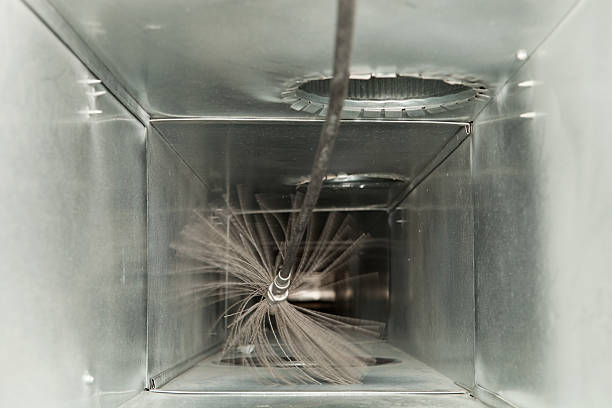 Best Air Duct Mold Removal  in Pine Level, AL