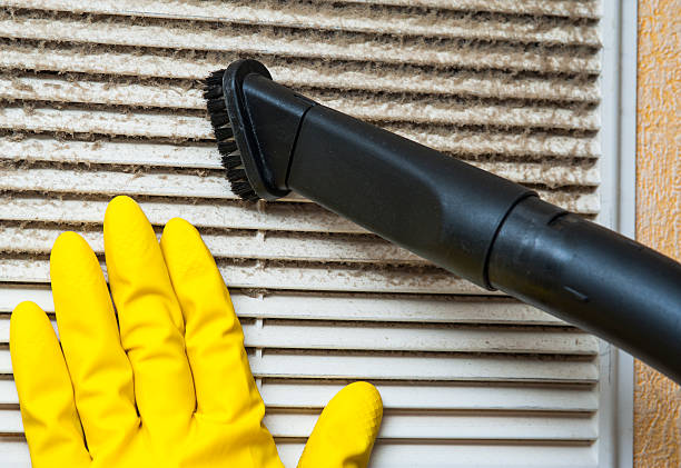 Best HVAC System Cleaning  in Pine Level, AL